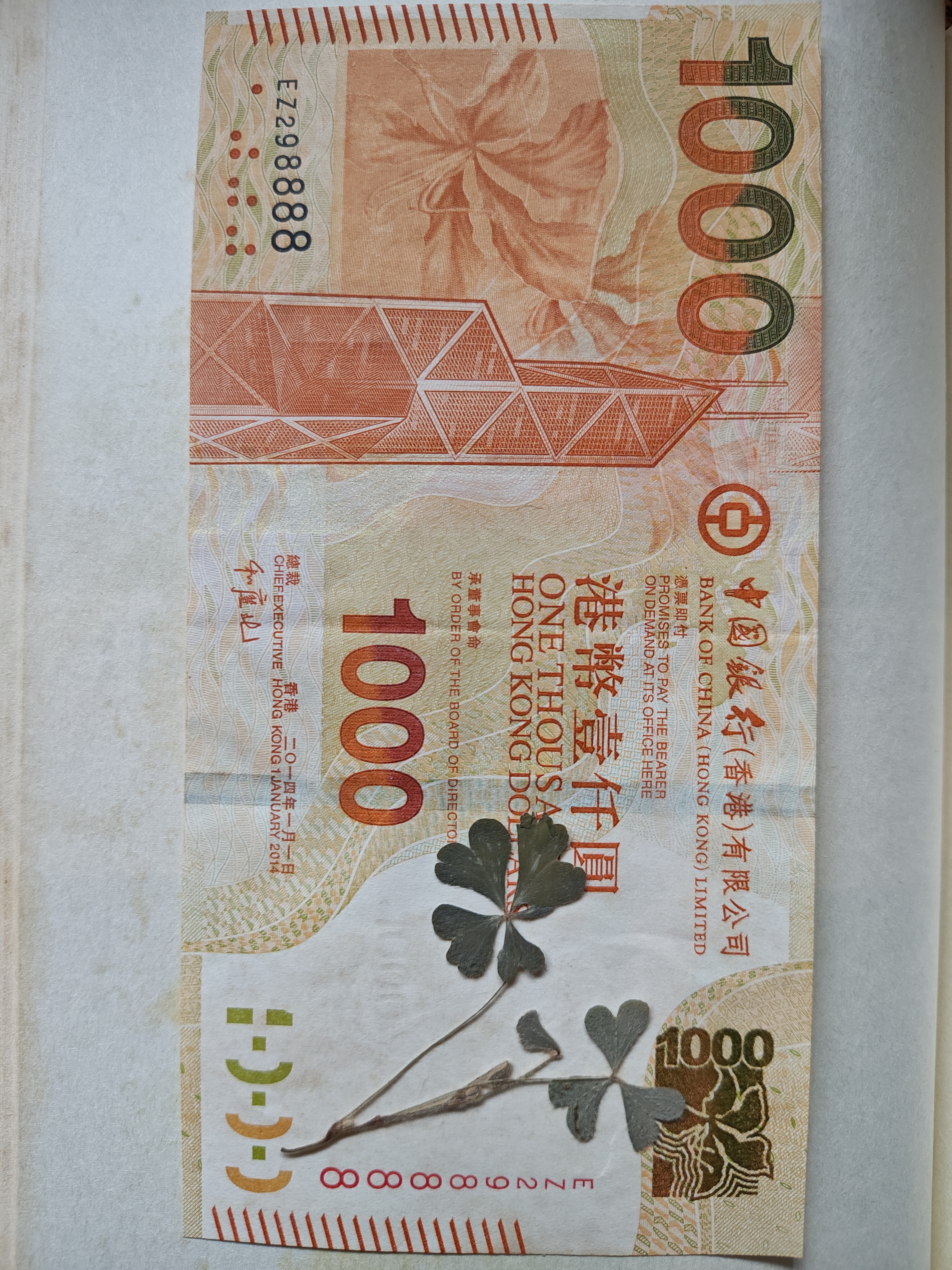 书中自有黄金屋,还有四叶草